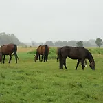 Διαμέρισμα Wrede-hof Cappeler Niederstrich