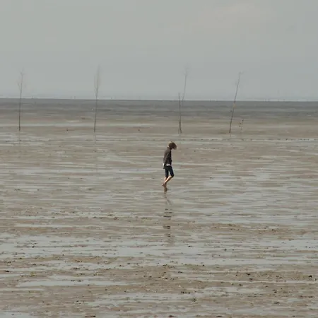 Appartement Wrede-hof