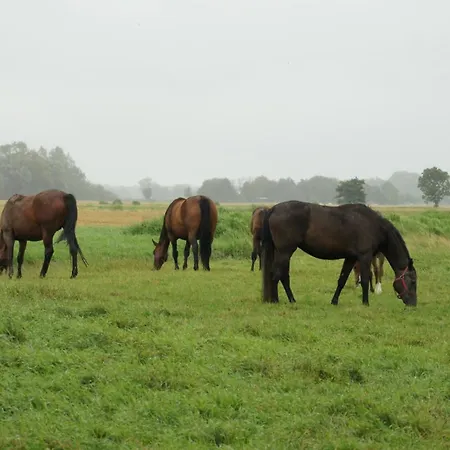 Appartement Wrede-hof Cappeler Niederstrich