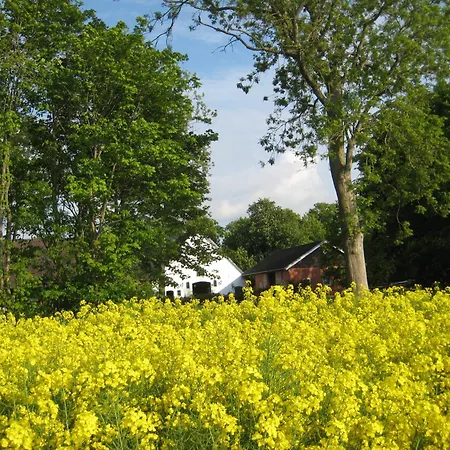 Wrede-hof * Cappeler Niederstrich