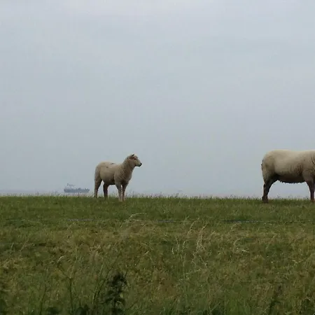 Wrede-hof