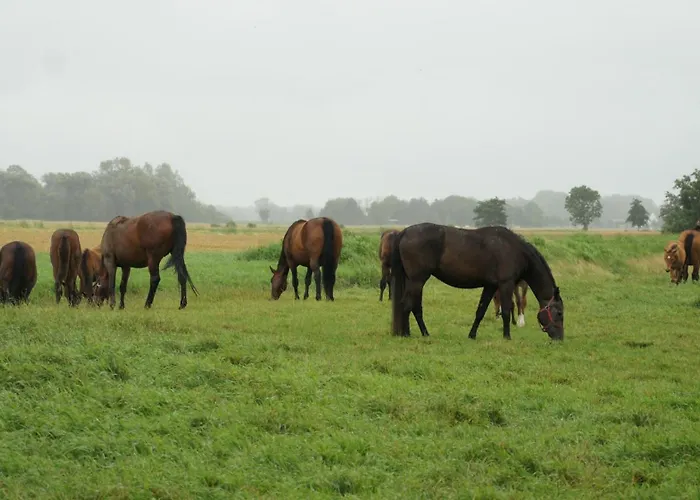 דירה Wrede-hof Cappeler Niederstrich
