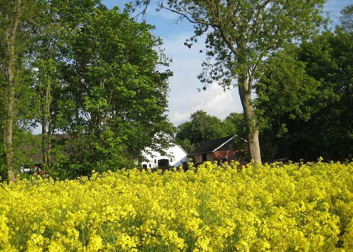 Wrede-hof * Cappeler Niederstrich