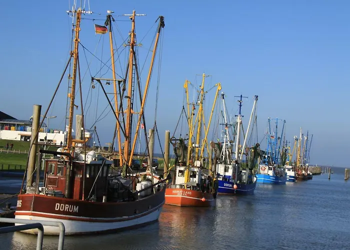 Wrede-hof דירה *